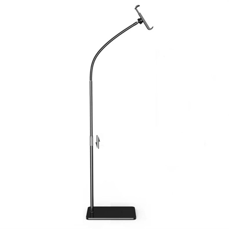 Stands & Mounts